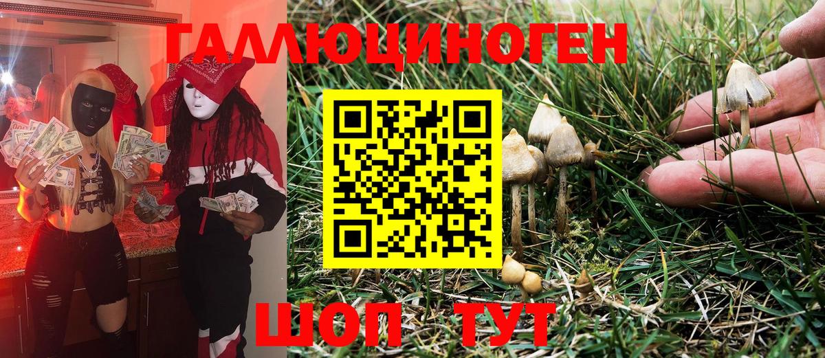 Псилоцибиновые грибы Psilocybe Жигулёвск